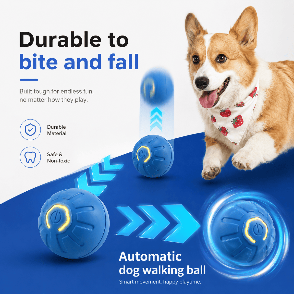 Corgi chasing the blue moving ball labeled durable to bite and fall, with durable material and safe non-toxic badges