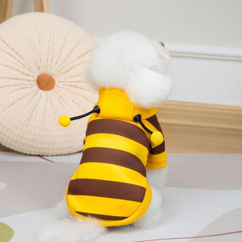 Back view of a fluffy white pet wearing the striped bee costume hoodie with antennae on the hood.