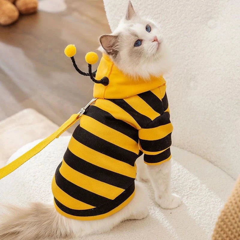 White cat on a leash wearing the bee costume hoodie with the hood and antennae up.