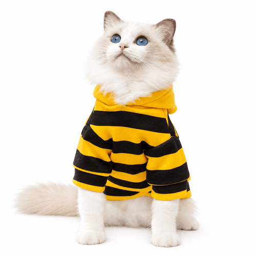 Ragdoll cat sitting upright in the yellow and black striped bee costume hoodie on a white background.