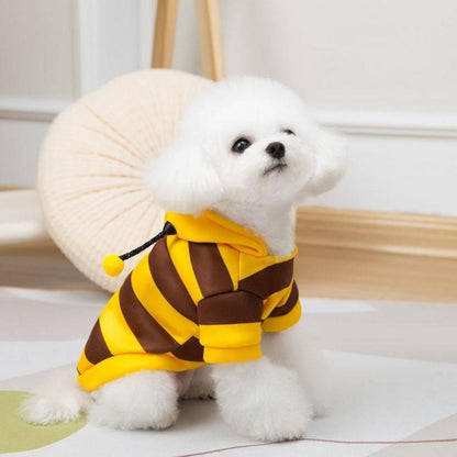 Small white dog sitting in the bee costume hoodie with the hood resting behind its neck.