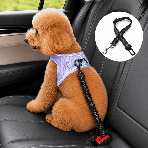 Black Noblias dog seat belt, shockproof and adjustable car safety leash for secure pet travel.