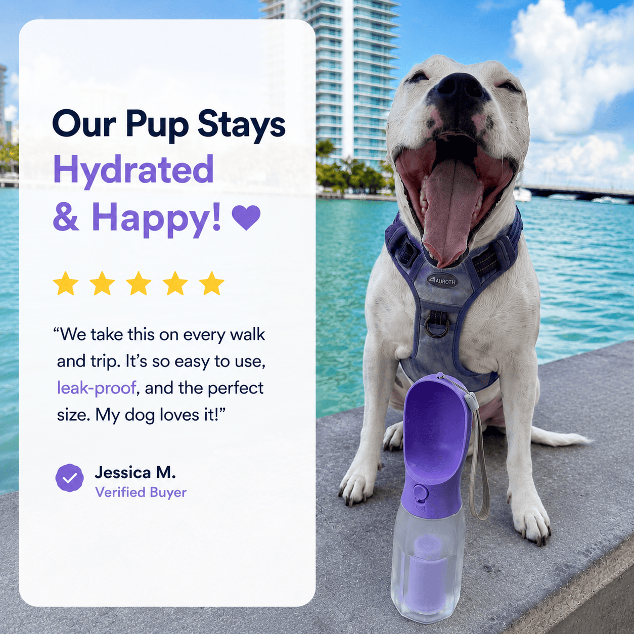 Blue Noblias 3-in-1 portable dog water bottle with built-in bowl and leak-proof design for on-the-go pet hydration.