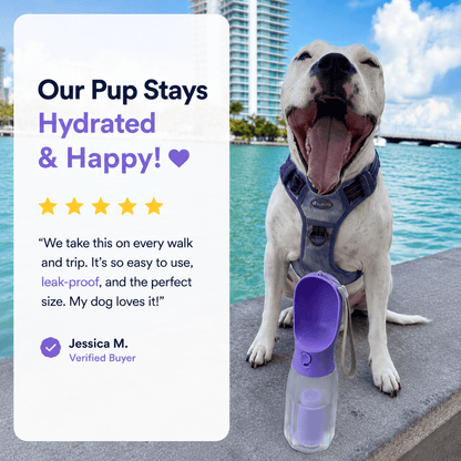 Blue Noblias 3-in-1 portable dog water bottle with built-in bowl and leak-proof design for on-the-go pet hydration.