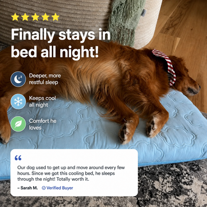 Blue breathable cooling orthopedic dog bed by Noblias with plush cushioning and supportive design for comfort and joint relief.