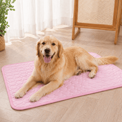 Blue Noblias cooling mat for dogs and cats, small size, soft fabric surface designed to keep pets cool and comfortable.