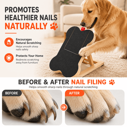 Golden Retriever scratching the bone board, with before and after close-ups of a paw showing filed, shorter nails