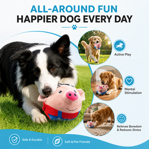 Border collie lying on grass with the red bouncing pig dog toy, with active play, mental stimulation and relieves boredom icons.