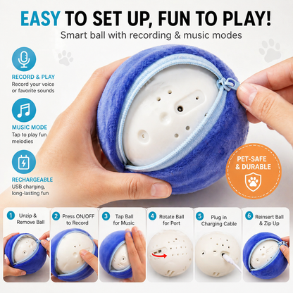 Blue bouncing pig dog toy unzipped to show the inner ball, with record and play, music mode and rechargeable callouts and the six setup steps.