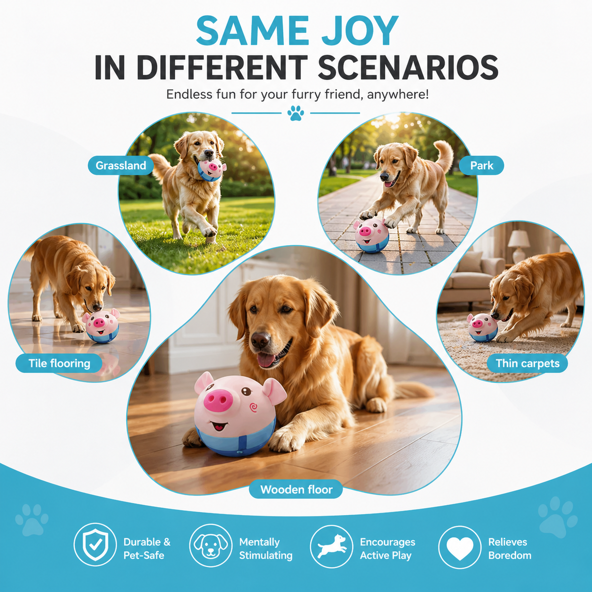 Golden retriever with the bouncing pig dog toy on a wood floor, with grass, park, tile and carpet scenes around it.