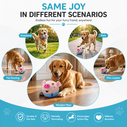 Golden retriever with the bouncing pig dog toy on a wood floor, with grass, park, tile and carpet scenes around it.