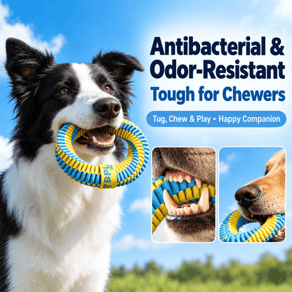 A border collie holding the braided dog ring toy in its mouth outdoors, with close-ups of the woven texture.