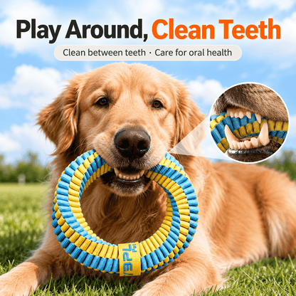 A golden retriever lying on the grass with the braided dog ring toy in its mouth, with a close-up of its teeth on the weave.