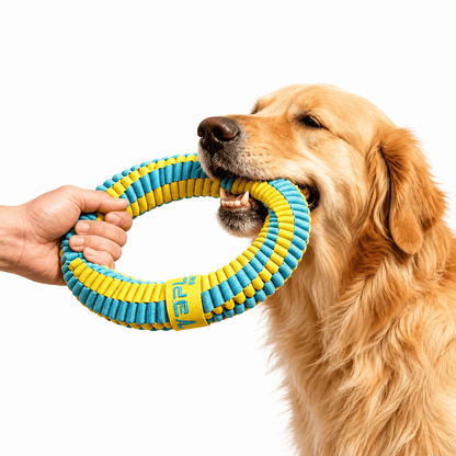 A golden retriever biting a light blue and yellow braided dog ring toy held by a person's hand.