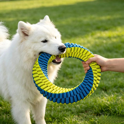 A white samoyed playing tug of war with the blue and yellow braided dog ring toy held by its owner.