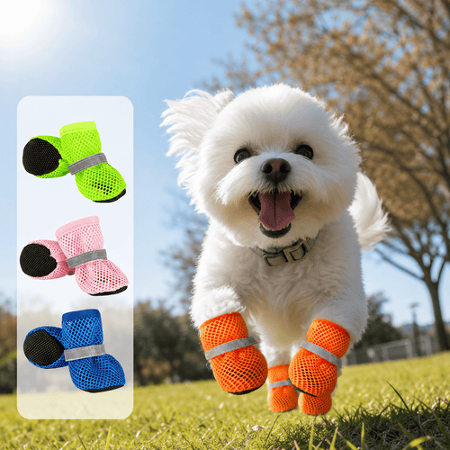 Small white dog running across grass in the orange breathable mesh dog shoes, with the green, pink and blue pairs shown beside it.