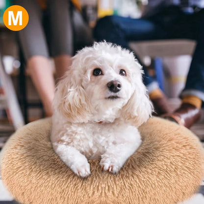 White toy poodle sitting in the brown faux fur donut dog bed