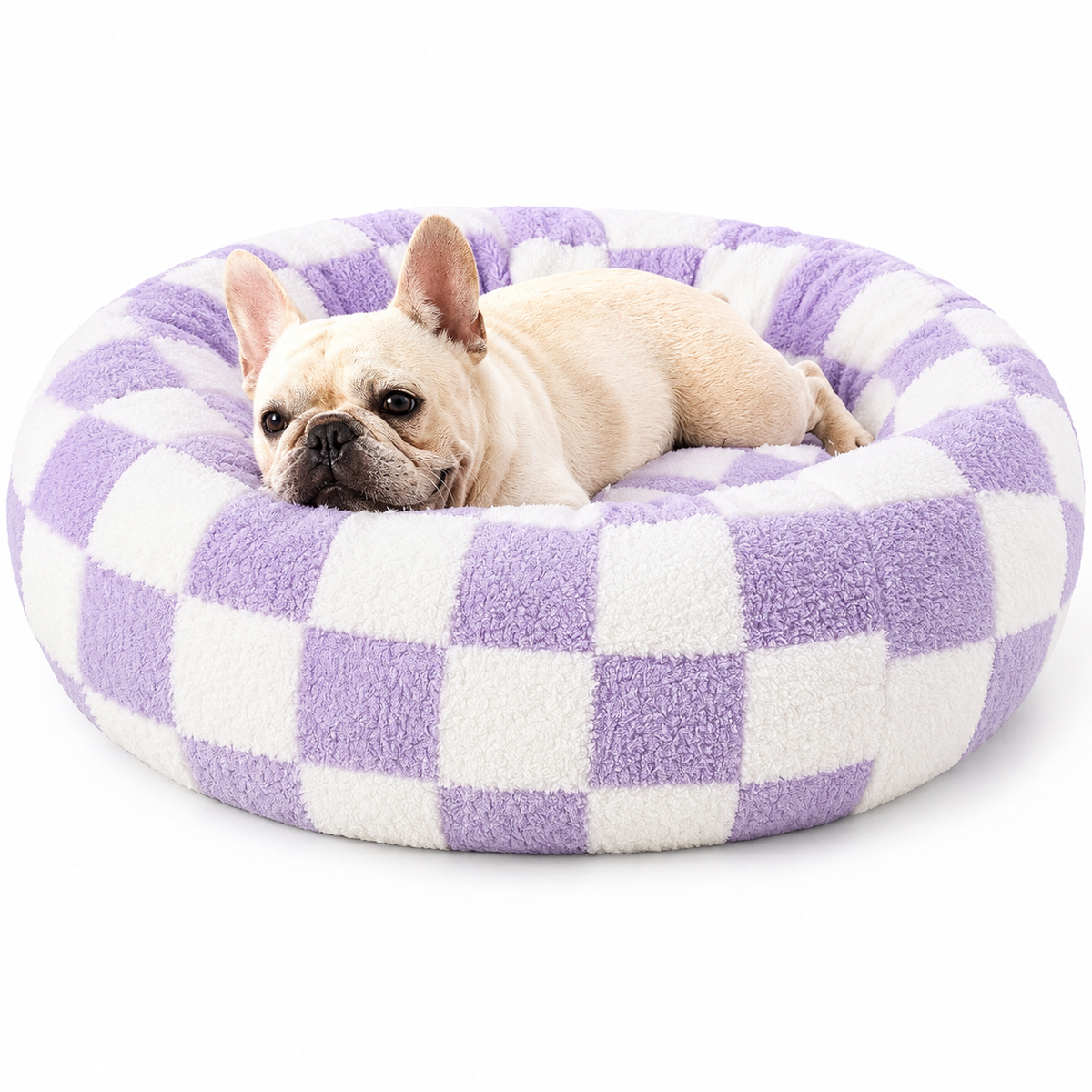French bulldog resting in the purple checkerboard calming donut dog bed.