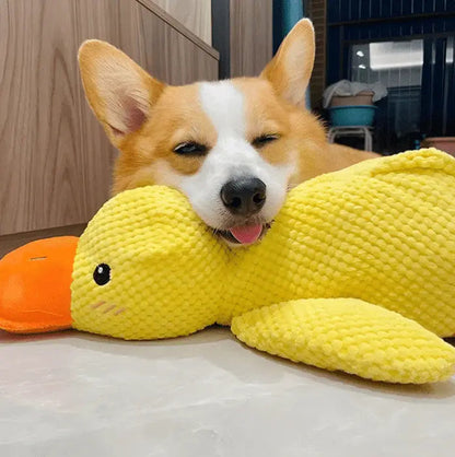 Corgi resting its chin on the yellow calming duck dog toy.