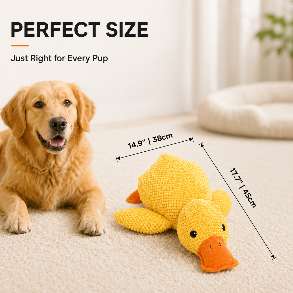 Yellow calming duck dog toy beside a golden retriever with its 38 cm width and 45 cm length marked.