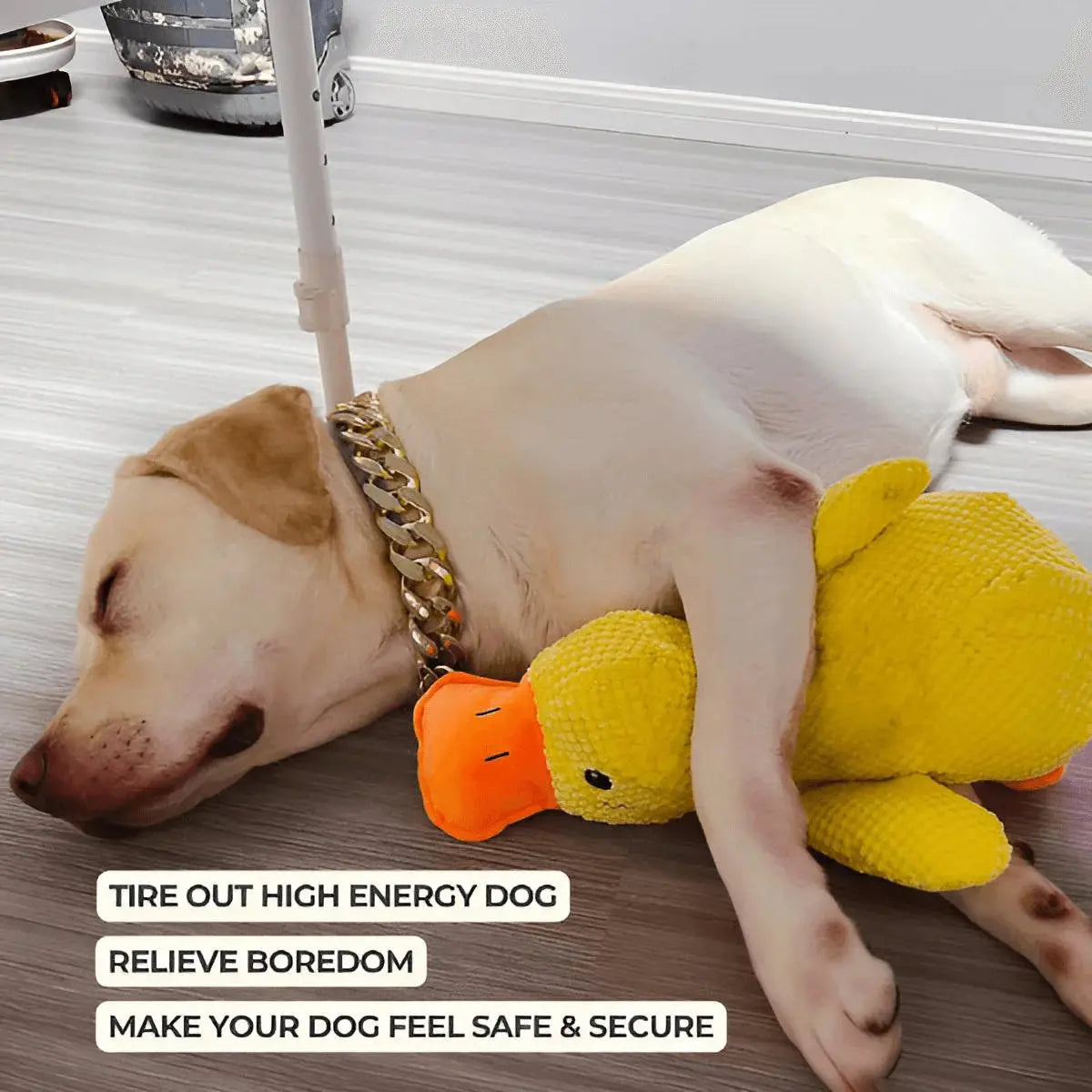 Labrador lying on the floor with the yellow calming duck dog toy under its chin.
