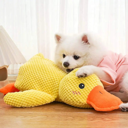 White pomeranian hugging the yellow calming duck dog toy on a bed.