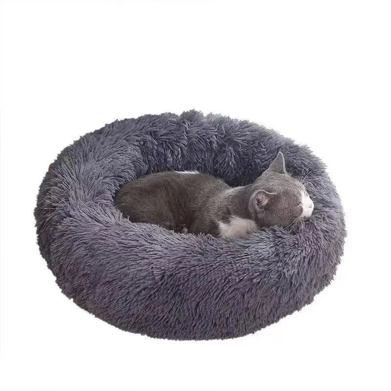 Gray cat curled up in the dark gray Noblias calming orthopedic dog bed with long plush fur