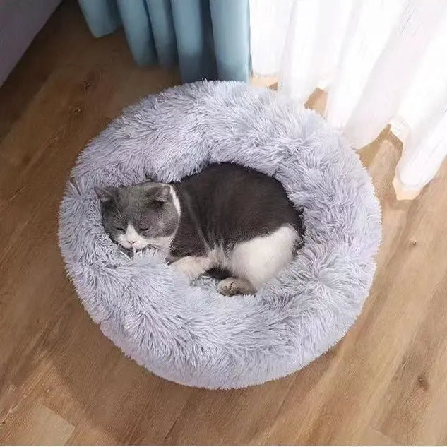 Cat resting inside the light gray plush calming dog bed by a window