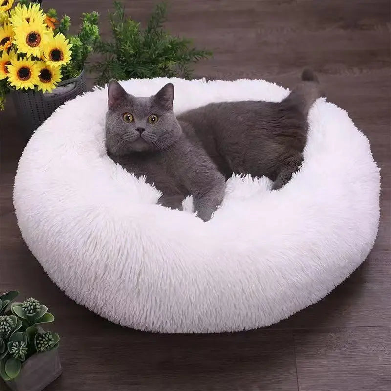 Gray cat sitting in the pearl white plush calming dog bed next to sunflowers