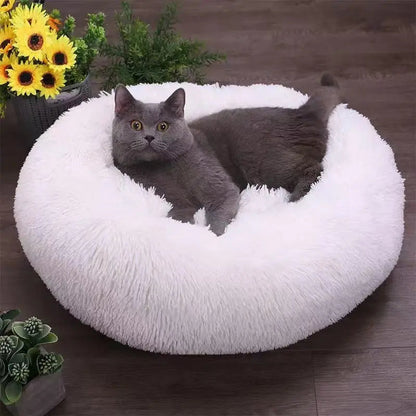 Gray cat sitting in the pearl white plush calming dog bed next to sunflowers