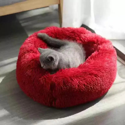 Gray cat sitting in the wine red plush calming dog bed
