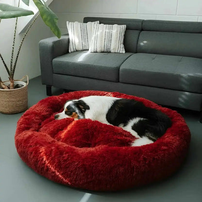 Small dog lying in the wine red plush calming dog bed in front of a gray sofa