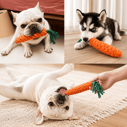 French Bulldog carrying the carrot toy, Husky puppy chewing it, and a bulldog playing tug with the owner holding the tassel end