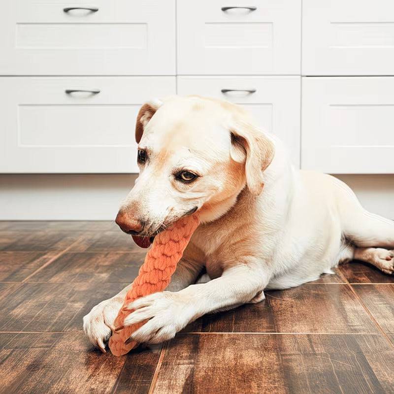 Labrador lying on a hardwood floor chewing the braided rope carrot dog toy