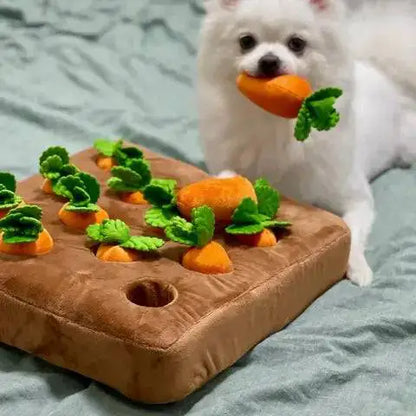 Pomeranian holding a plush carrot in its mouth beside the Noblias snuffle mat with an empty hole left behind.
