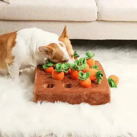 Dog sniffing across the Noblias carrot snuffle mat with several carrots already pulled out of their holes.