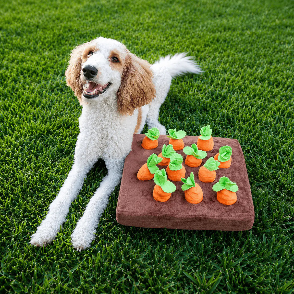 Doodle lying on grass next to the Noblias carrot snuffle mat with its plush carrots planted in place.