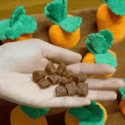 Hand holding small dog treats over the Noblias carrot snuffle mat ready to hide them among the carrots.