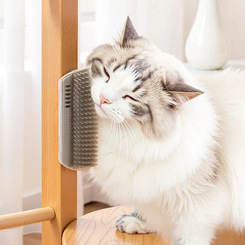 Long-haired cat rubbing its cheek on the gray cat corner self groomer mounted on a wooden chair leg.