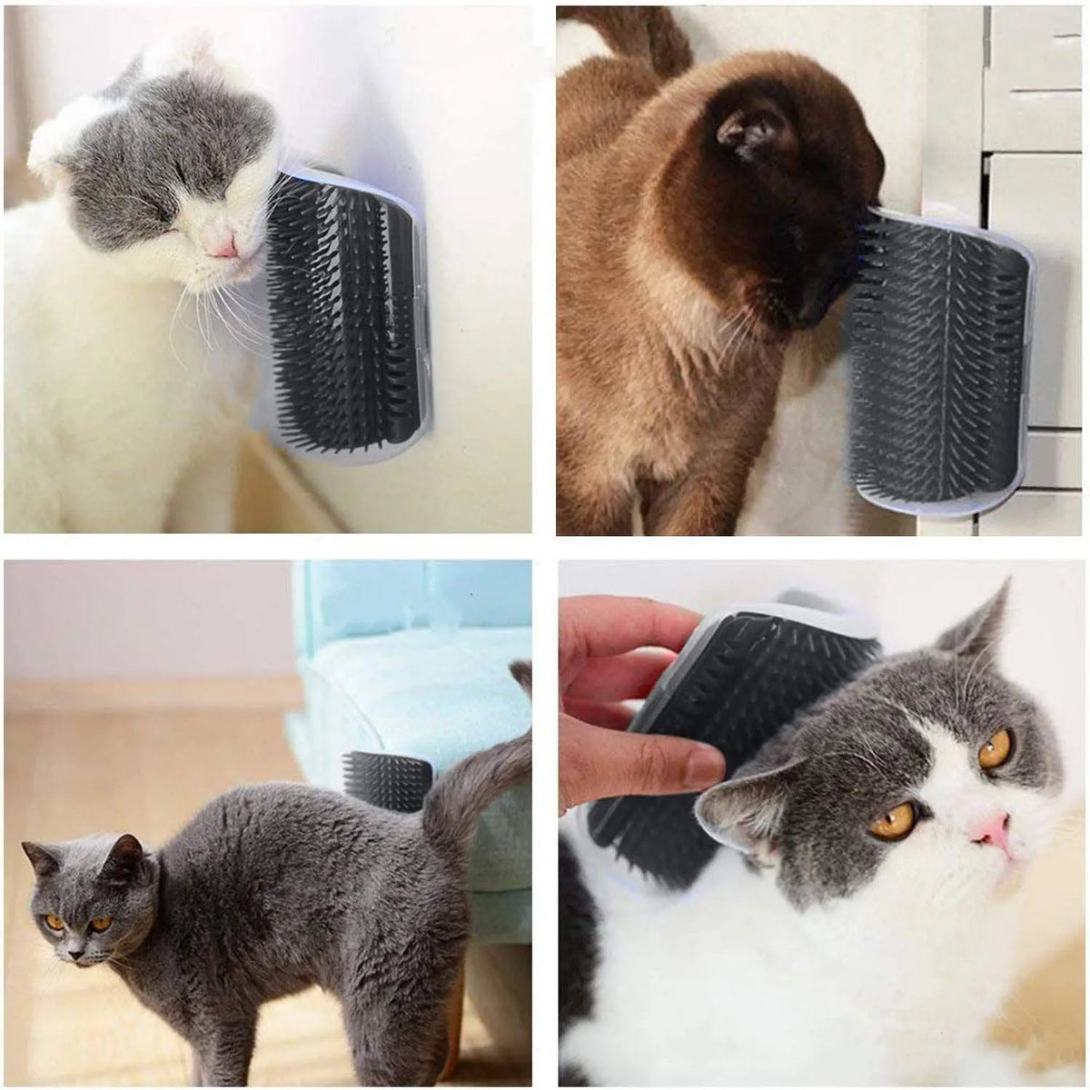 Four photos of cats rubbing on the cat corner self groomer, including one held in the hand against a British shorthair.