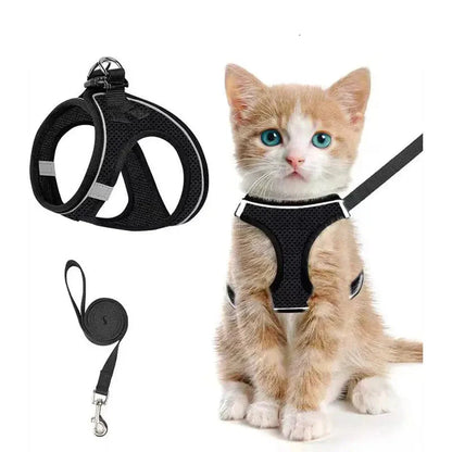 Black Noblias cat harness and leash set in breathable mesh, shown on a ginger kitten with the matching lead.