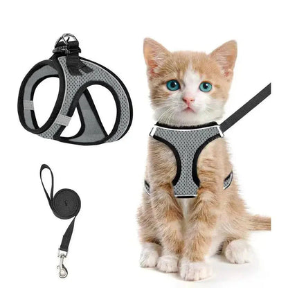Gray Noblias cat harness and leash set in breathable mesh, worn by a ginger kitten.