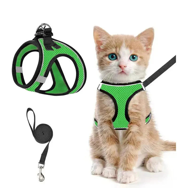 Bright green Noblias cat harness and leash set in breathable mesh, worn by a ginger kitten.