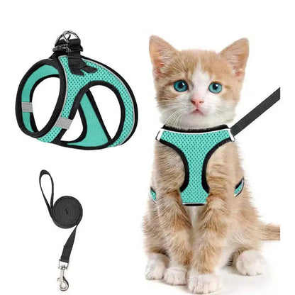 Light green Noblias cat harness and leash set in breathable mesh, worn by a ginger kitten.