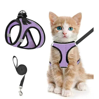 Mauve purple Noblias cat harness and leash set in breathable mesh, worn by a ginger kitten.