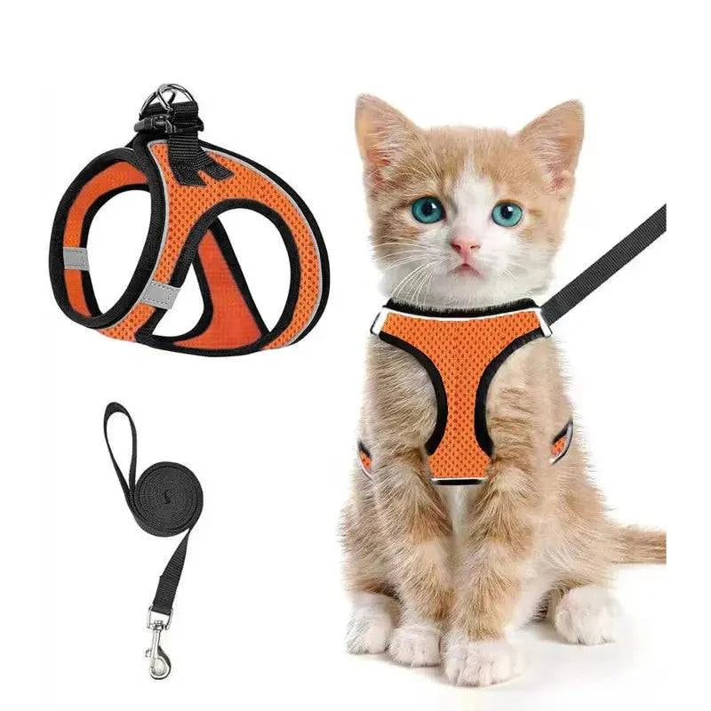 Orange Noblias cat harness and leash set in breathable mesh, worn by a ginger kitten.