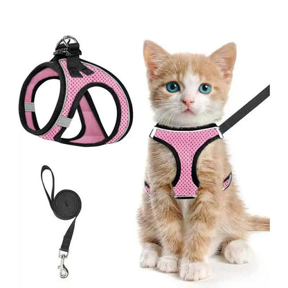 Pink Noblias cat harness and leash set in breathable mesh, worn by a ginger kitten.