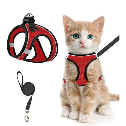 Red Noblias cat harness and leash set in breathable mesh, worn by a ginger kitten.