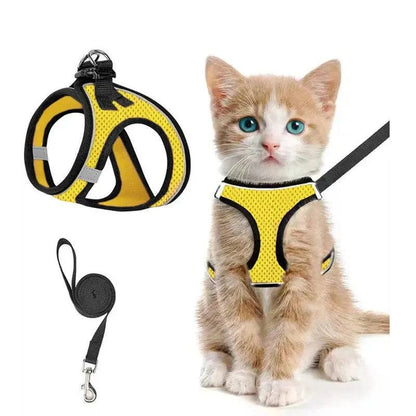 Yellow Noblias cat harness and leash set in breathable mesh, worn by a ginger kitten.