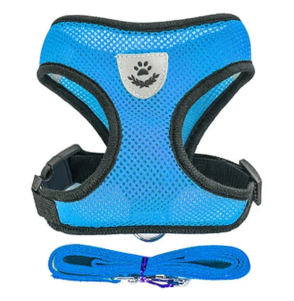 Blue lightweight mesh cat harness and leash set for small pets